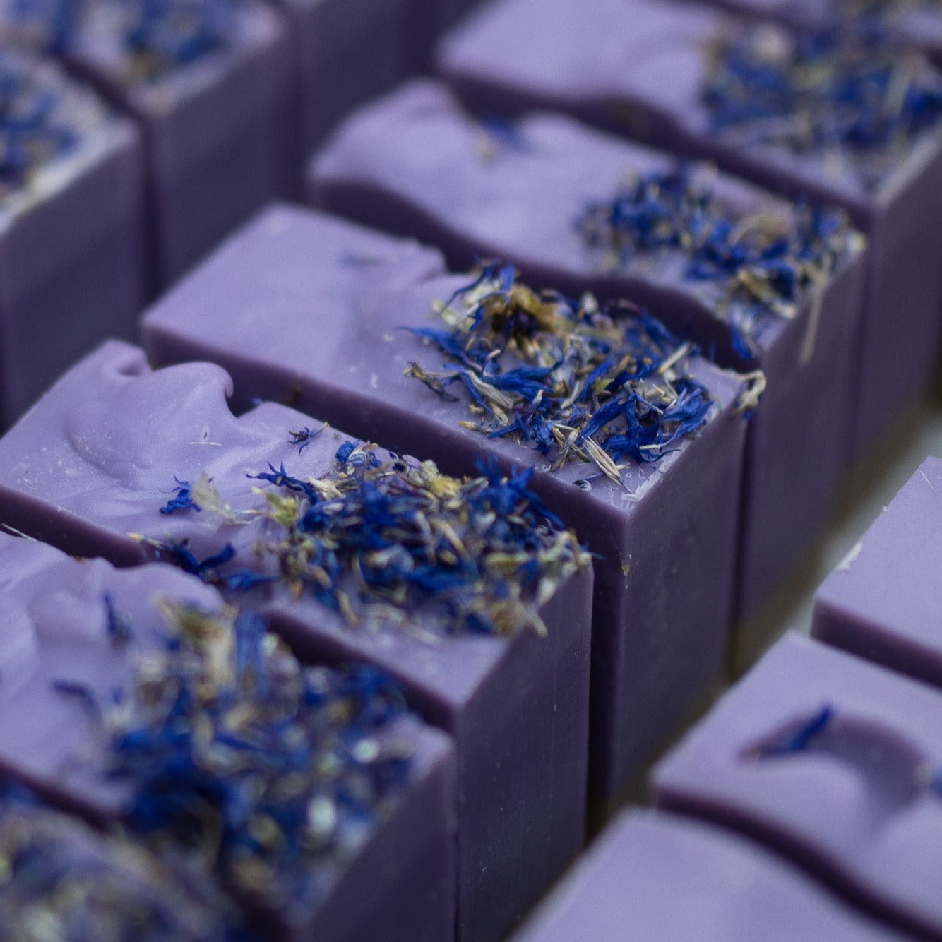 Lavender Fields - Artisan Soap