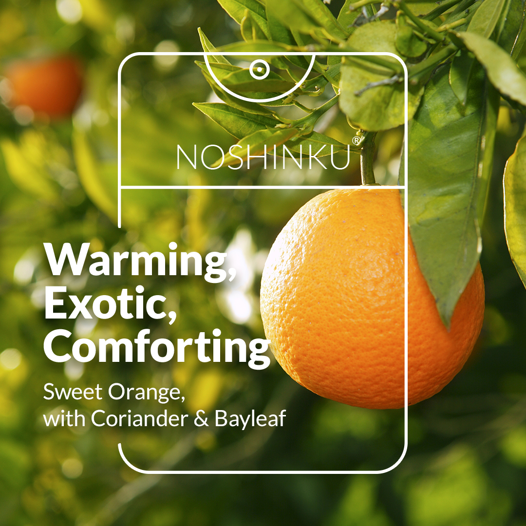 Noshinku - Orange Coriander Moisturizing Hand Sanitizer - Refill