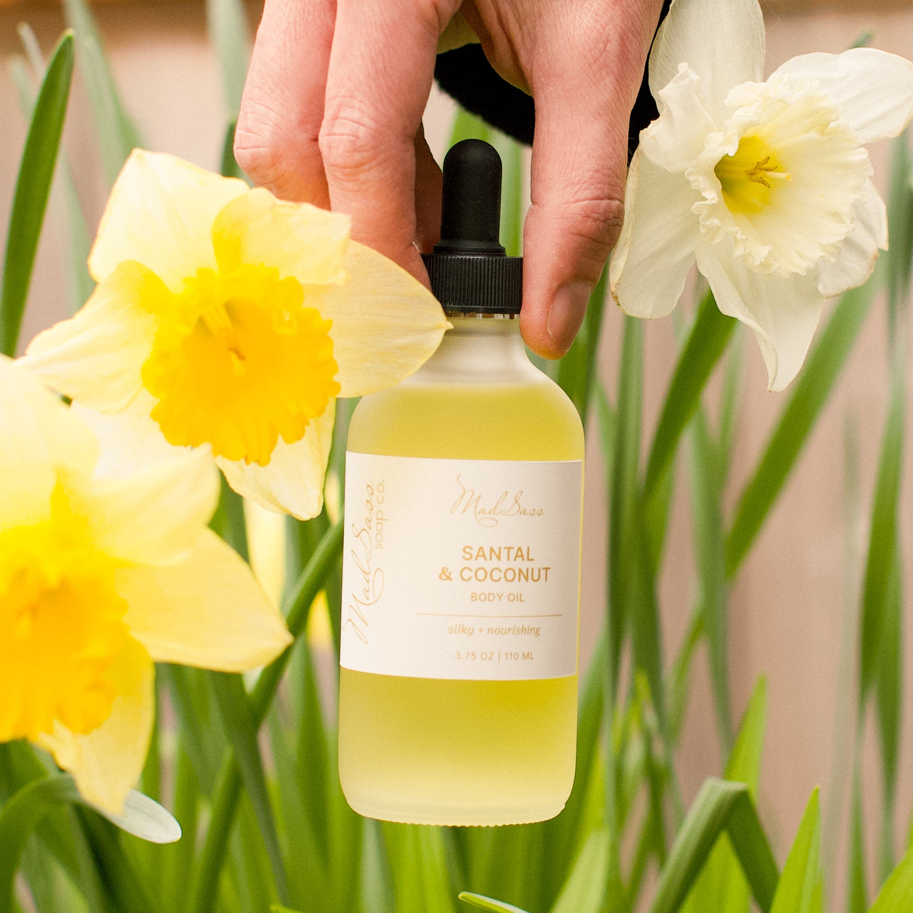 Mad Sass Soap Co Santal & Coconut - Body Oil held among vibrant daffodils, illustrating the essence of natural beauty and the nourishing properties of this luxurious skin nourishing body oil.