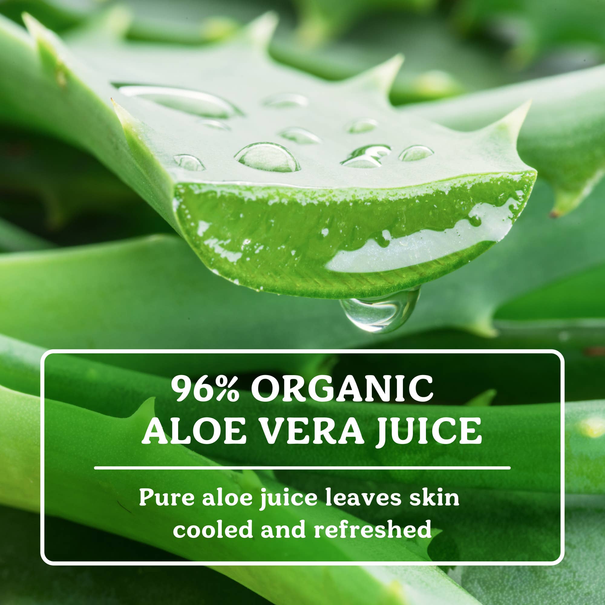Badger - Aloe Vera Gel for Face & Body
