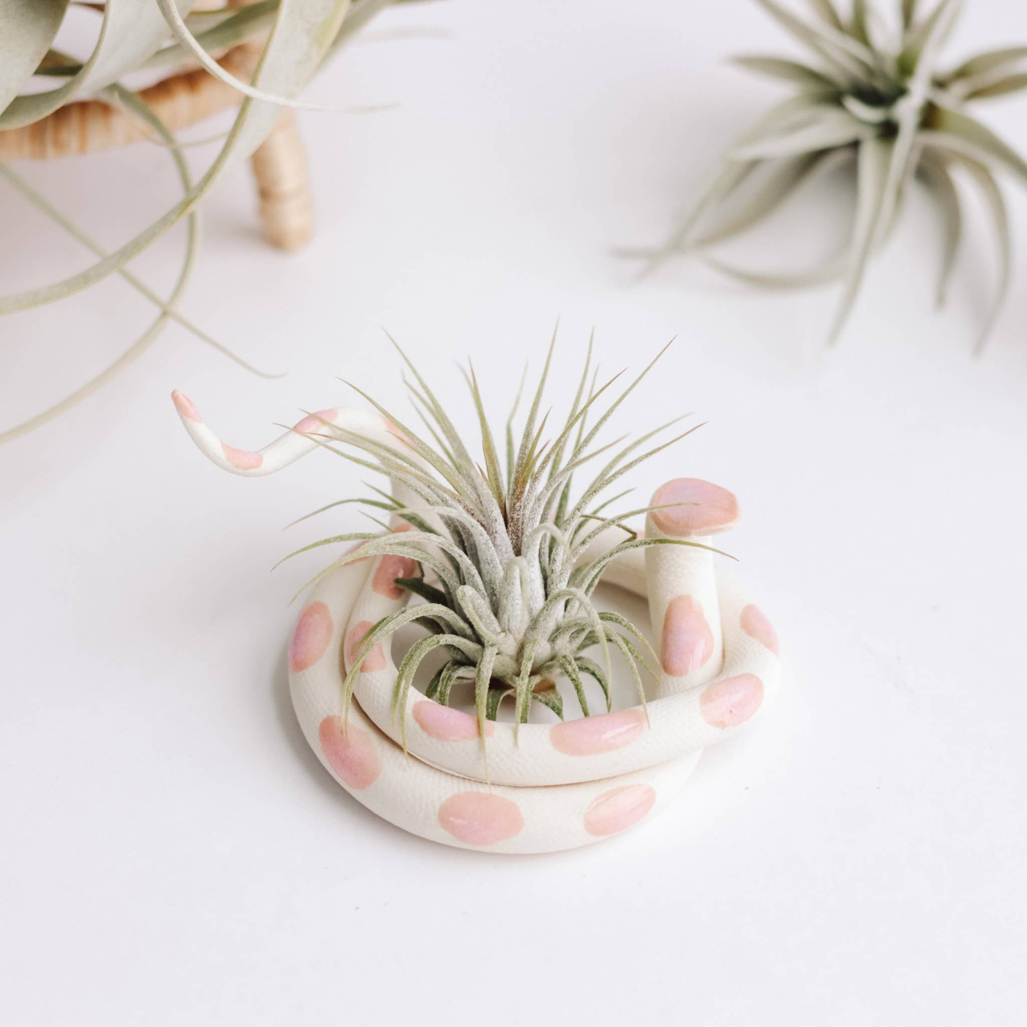 Carter & Rose - Medium Ceramic Snake - Sofie